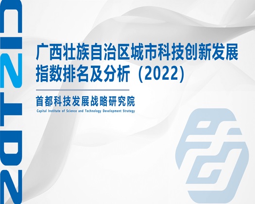 男人日B的视频【成果发布】广西壮族自治区城市科技创新发展指数排名及分析（2022）